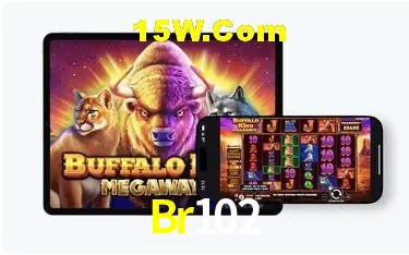 Recursos de Bônus Br102
